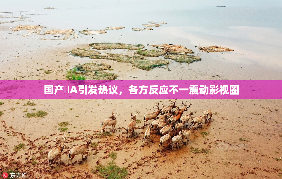 国产婬A引发热议，各方反应不一震动影视圈
