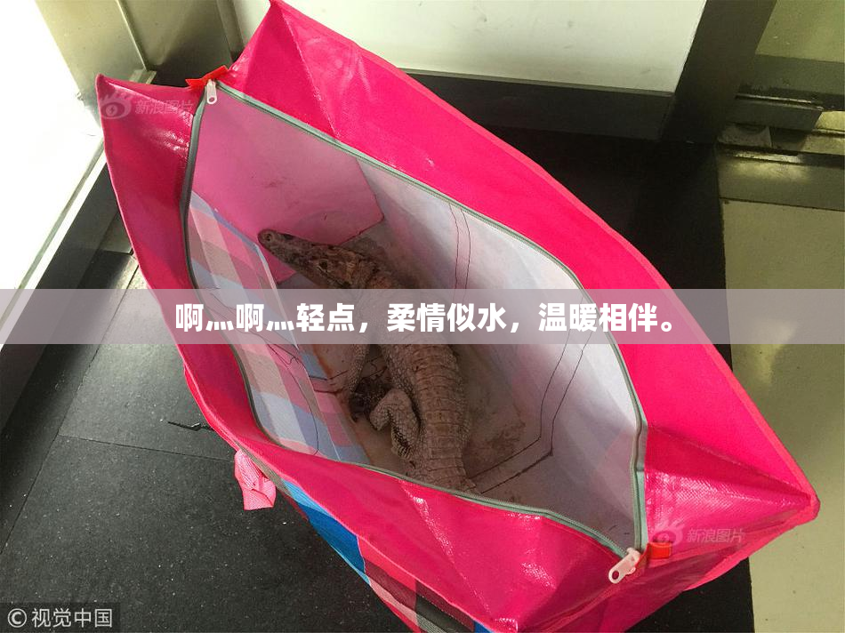 啊灬啊灬轻点，柔情似水，温暖相伴。