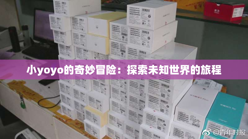 小yoyo的奇妙冒险：探索未知世界的旅程