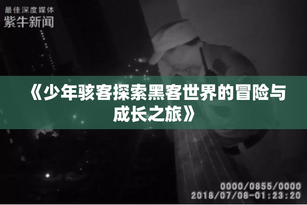 《少年骇客探索黑客世界的冒险与成长之旅》
