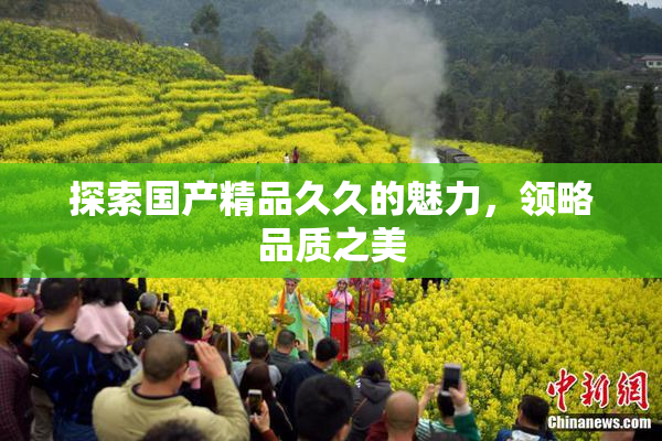 探索国产精品久久的魅力，领略品质之美