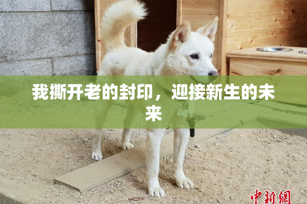 我撕开老的封印，迎接新生的未来