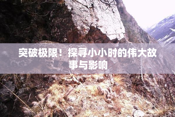 突破极限！探寻小小时的伟大故事与影响