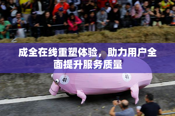 成全在线重塑体验，助力用户全面提升服务质量
