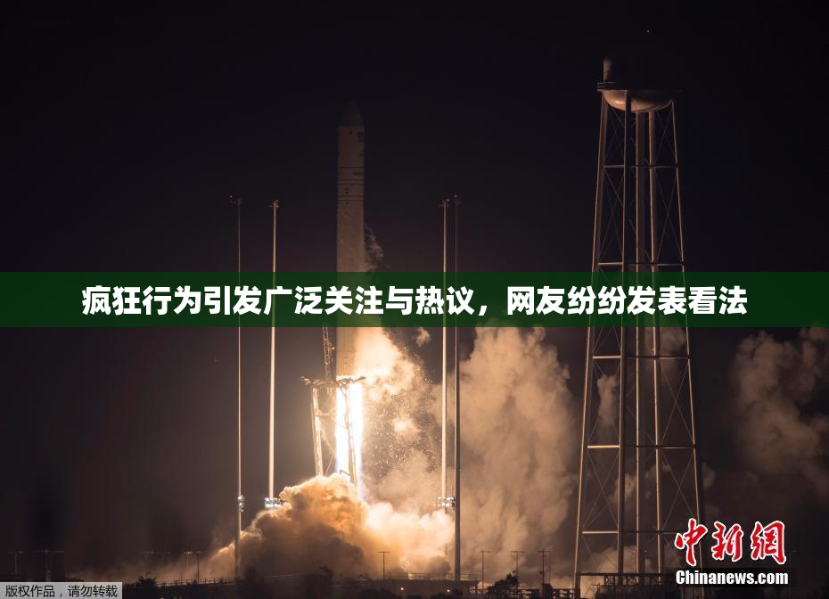 疯狂行为引发广泛关注与热议，网友纷纷发表看法