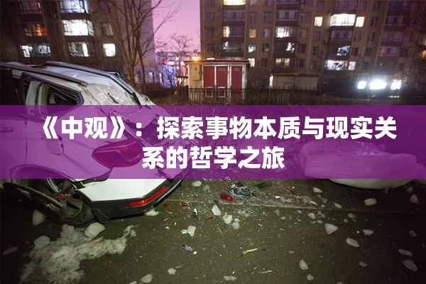 《中观》：探索事物本质与现实关系的哲学之旅