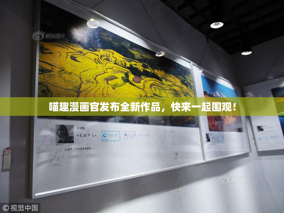 喵趣漫画官发布全新作品，快来一起围观！