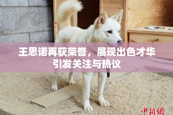 王思诺再获荣誉，展现出色才华引发关注与热议