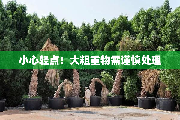 小心轻点！大粗重物需谨慎处理