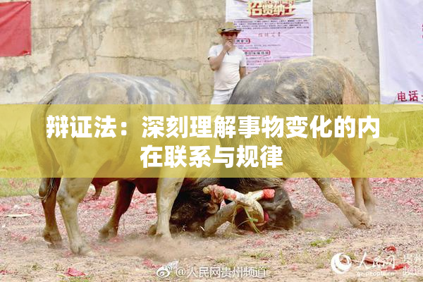 辩证法：深刻理解事物变化的内在联系与规律