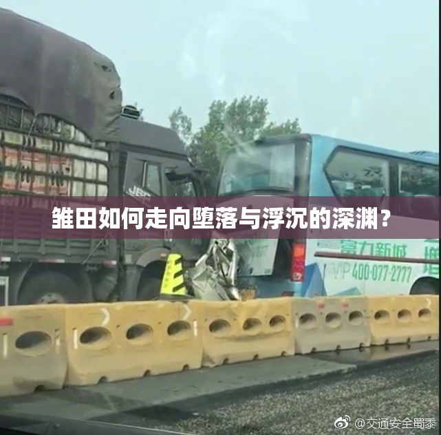 雏田如何走向堕落与浮沉的深渊？