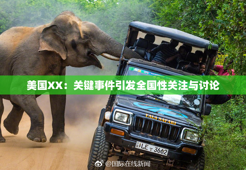 美国XX：关键事件引发全国性关注与讨论