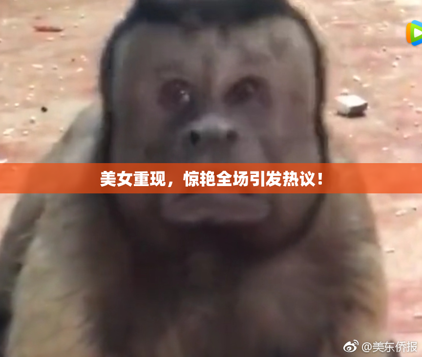 美女重现，惊艳全场引发热议！