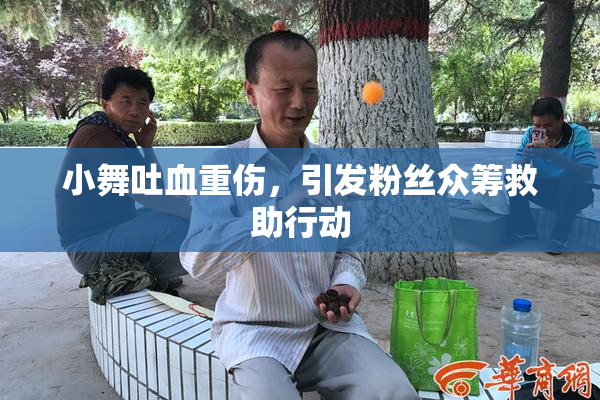 小舞吐血重伤，引发粉丝众筹救助行动