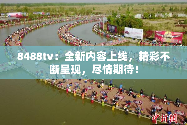 8488tv：全新内容上线，精彩不断呈现，尽情期待！