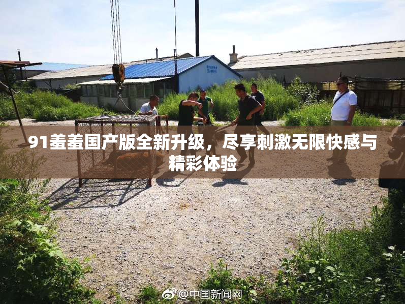 91羞羞国产版全新升级，尽享刺激无限快感与精彩体验