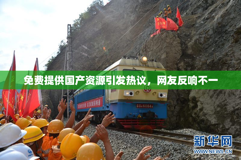 免费提供国产资源引发热议，网友反响不一