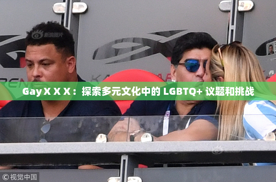 GayⅩⅩⅩ：探索多元文化中的 LGBTQ+ 议题和挑战