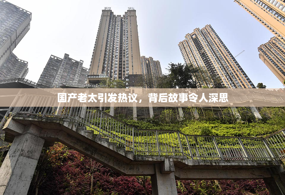 国产老太引发热议，背后故事令人深思