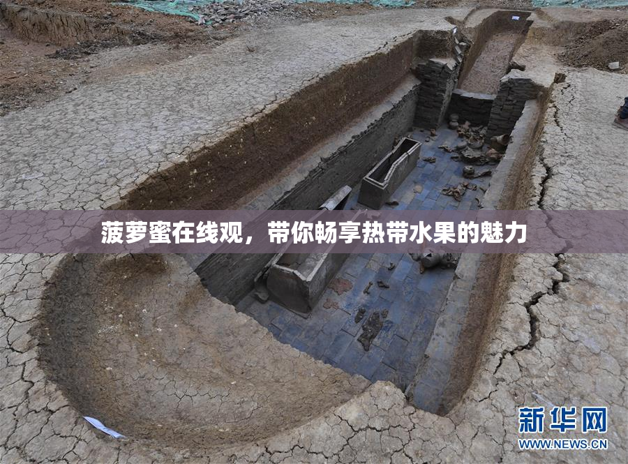 菠萝蜜在线观，带你畅享热带水果的魅力