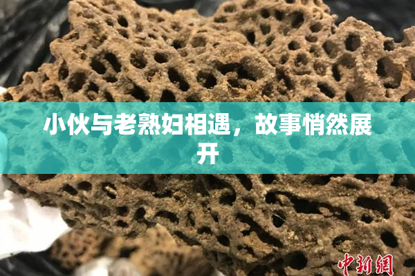 小伙与老熟妇相遇，故事悄然展开