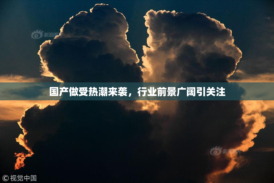 国产做受热潮来袭，行业前景广阔引关注