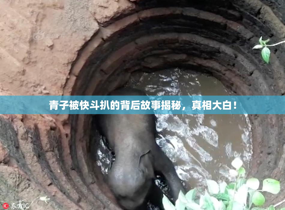 青子被快斗扒的背后故事揭秘，真相大白！