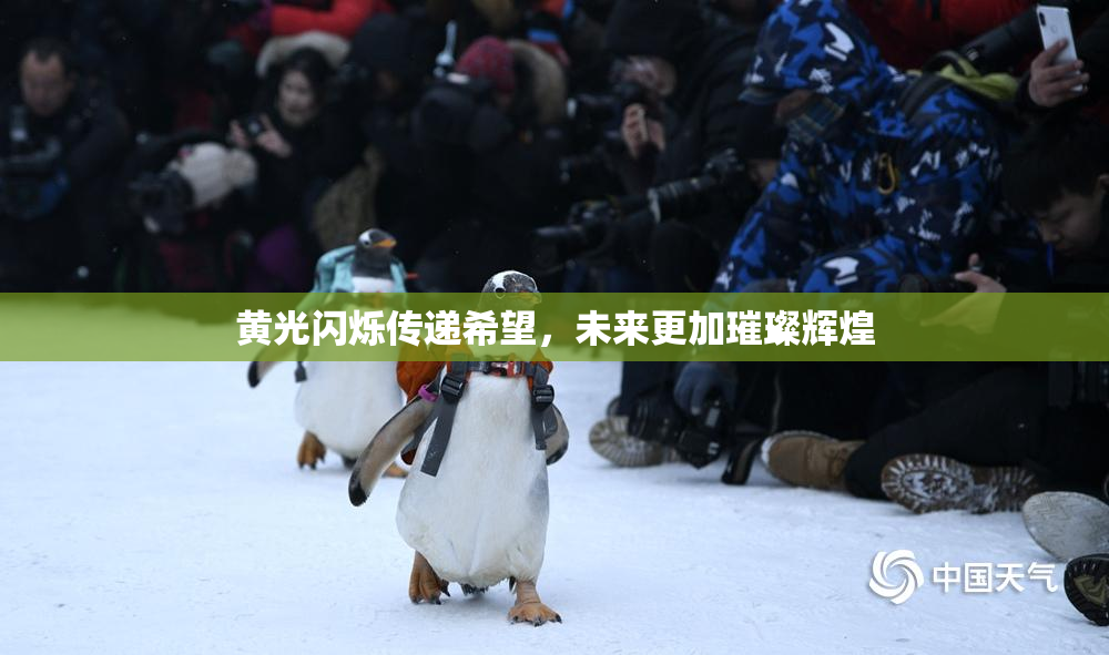 黄光闪烁传递希望，未来更加璀璨辉煌