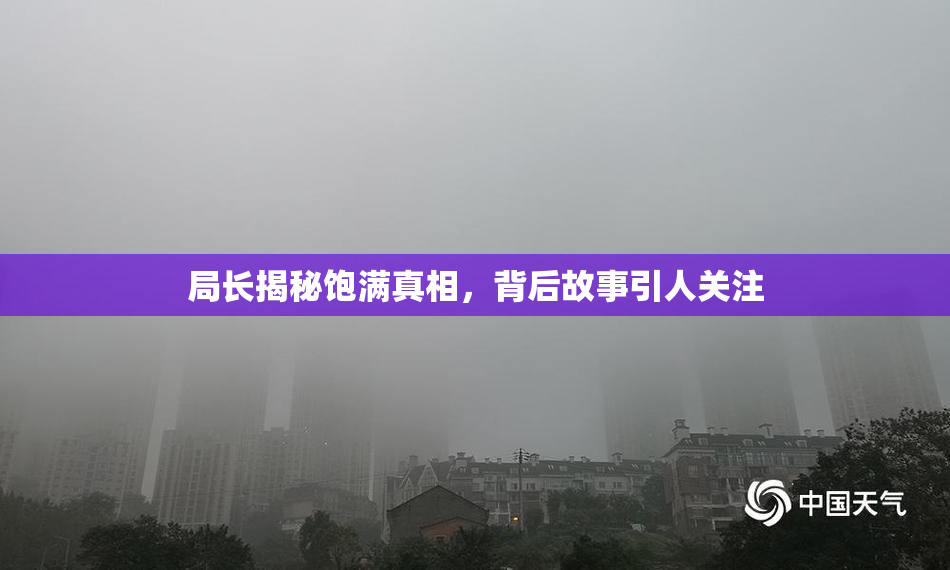 局长揭秘饱满真相，背后故事引人关注