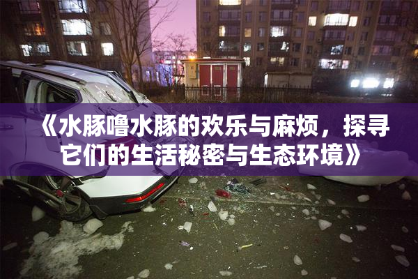 《水豚噜水豚的欢乐与麻烦，探寻它们的生活秘密与生态环境》