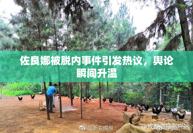 佐良娜被脱内事件引发热议，舆论瞬间升温