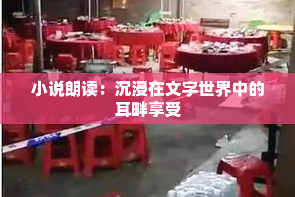 小说朗读：沉浸在文字世界中的耳畔享受