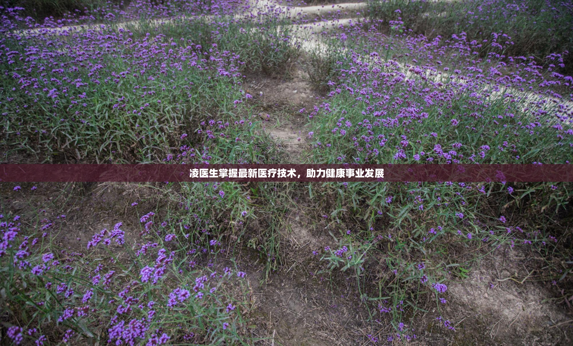 凌医生掌握最新医疗技术，助力健康事业发展