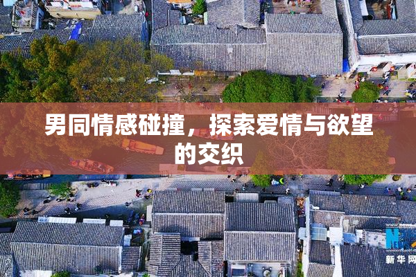 男同情感碰撞，探索爱情与欲望的交织