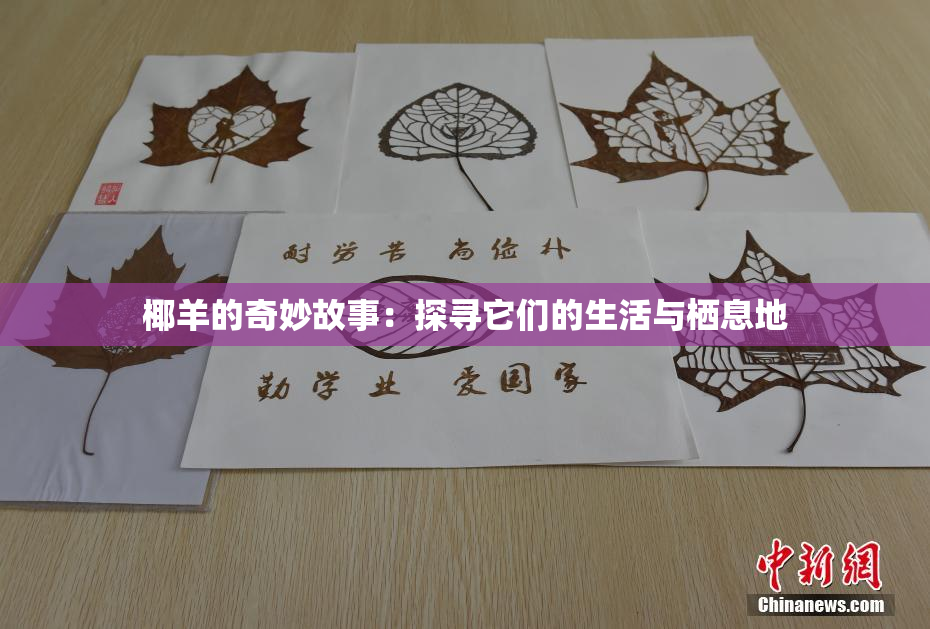 椰羊的奇妙故事：探寻它们的生活与栖息地