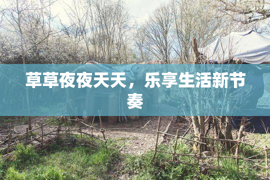 草草夜夜天天，乐享生活新节奏