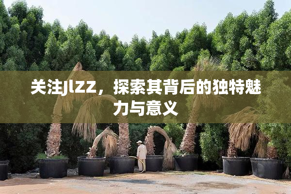 关注JlZZ，探索其背后的独特魅力与意义
