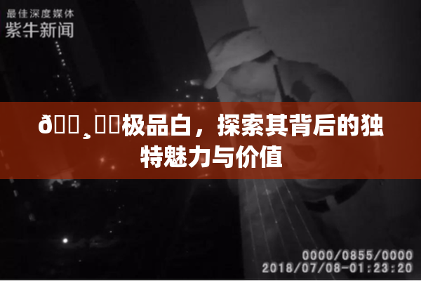 🌸‌✿极品白，探索其背后的独特魅力与价值