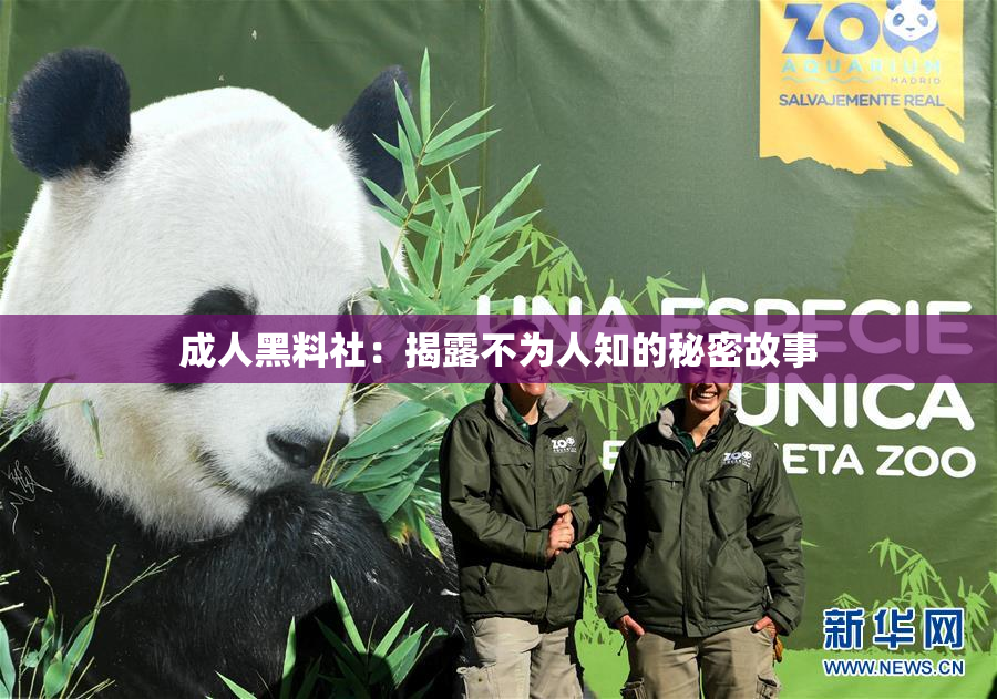 成人黑料社：揭露不为人知的秘密故事