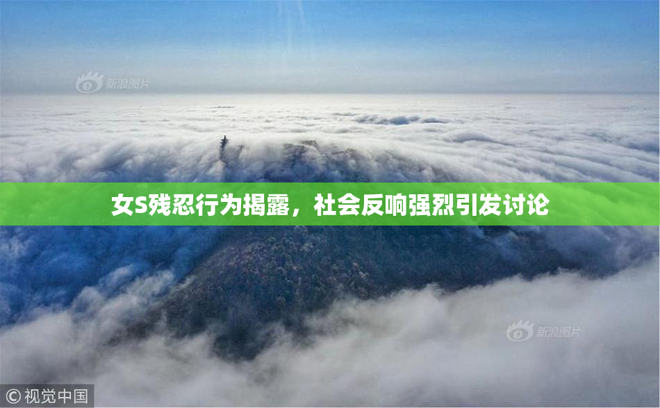 女S残忍行为揭露，社会反响强烈引发讨论