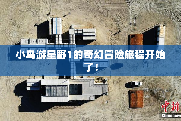 小鸟游星野1的奇幻冒险旅程开始了！