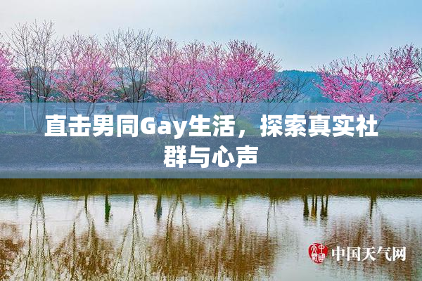 直击男同Gay生活，探索真实社群与心声