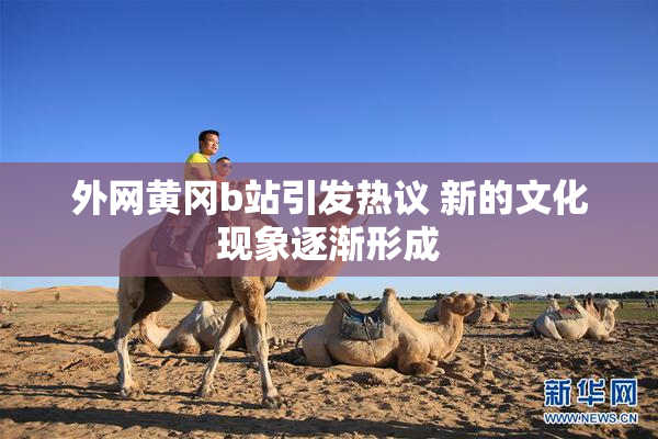 外网黄冈b站引发热议 新的文化现象逐渐形成