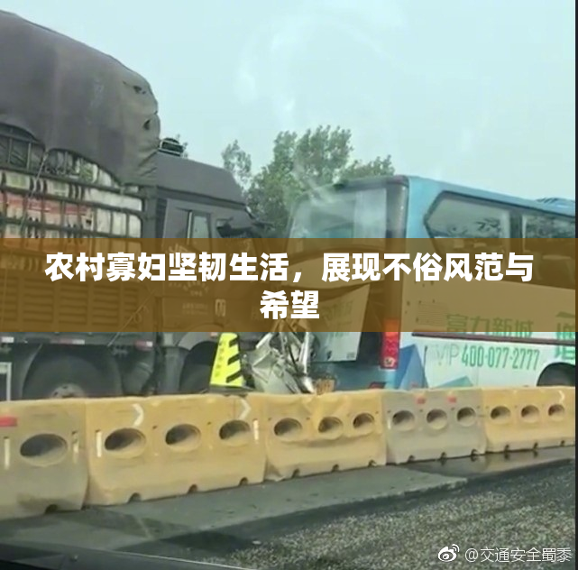 农村寡妇坚韧生活，展现不俗风范与希望
