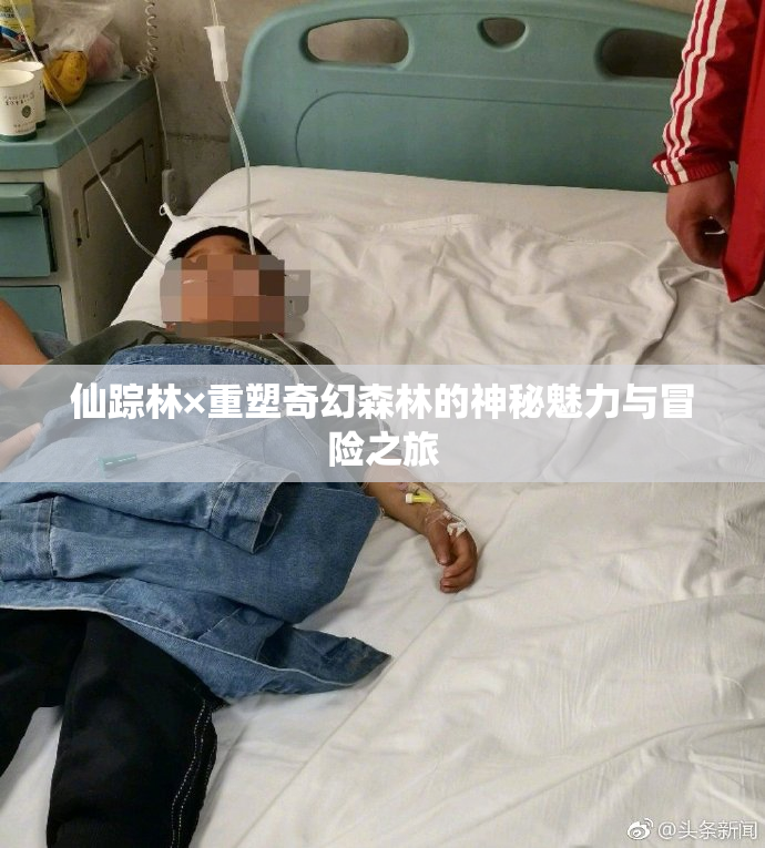 仙踪林×重塑奇幻森林的神秘魅力与冒险之旅