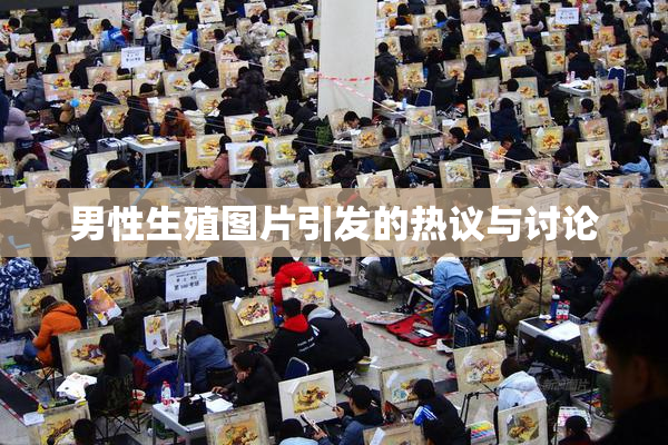 男性生殖图片引发的热议与讨论