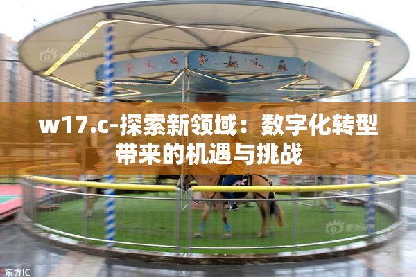 w17.c-探索新领域：数字化转型带来的机遇与挑战