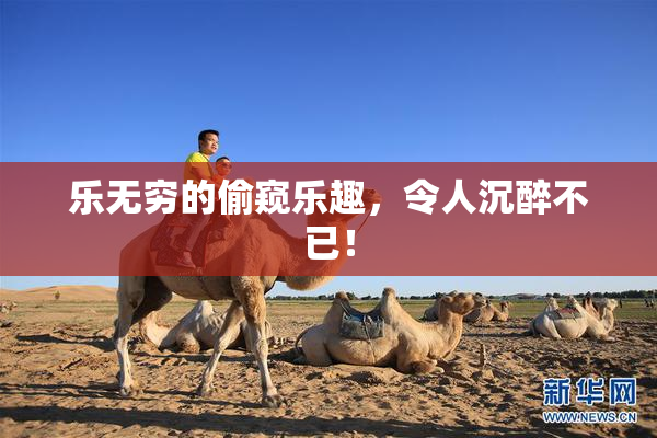 乐无穷的偷窥乐趣，令人沉醉不已！
