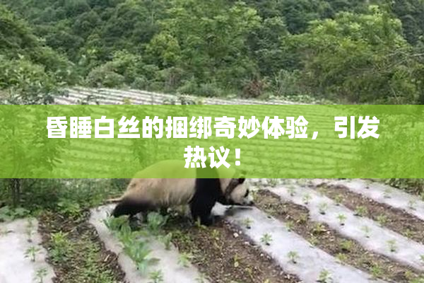 昏睡白丝的捆绑奇妙体验，引发热议！