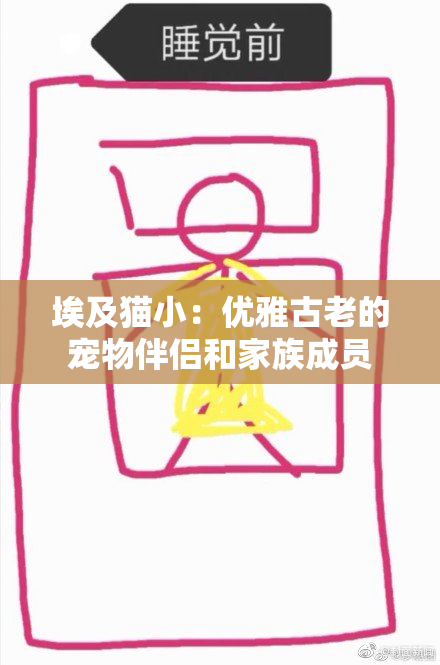 埃及猫小：优雅古老的宠物伴侣和家族成员